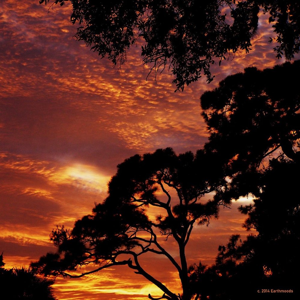 Meet your Posher, Hoardman